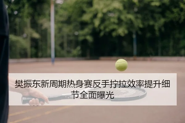 樊振东新周期热身赛反手拧拉效率提升细节全面曝光